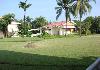 Spacious garden with palm trees